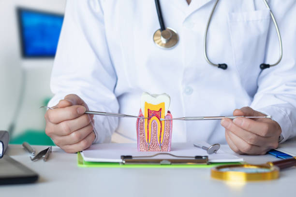 Best Emergency Treatment for Dental Infections or Abscesses in Hartford, AL